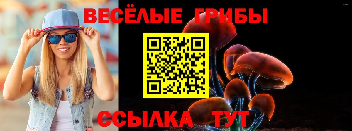 Елабуга  Псилоцибиновые грибы Magic Shrooms  Вход с VPN  Галлюциногенные грибы ЛСД 
